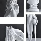 Venus Marbré