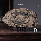 Dekoracija Dinosaurijskih Fosila