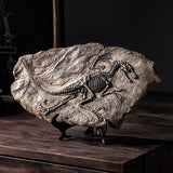 Dekoracija Dinosaurijskih Fosila