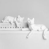 Catnap Geometry™
