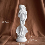 Venus Marbré